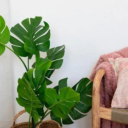 Casa Bombón * Sabiñánigo