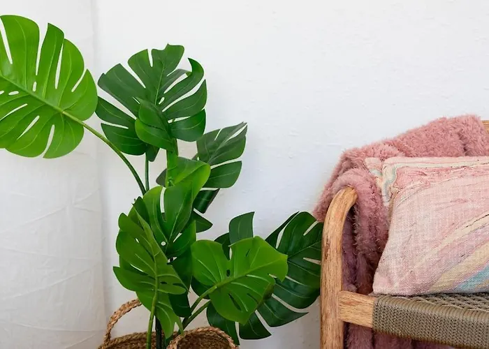 Casa Bombon * Sabiñánigo